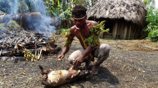 Papua - Reise in eine andere Zeit ab Jayapura: Pig Festival