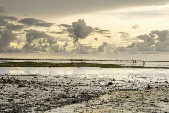 Archipel des Visayas de Negros: Negros Apo Island