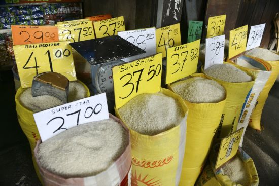 Archipel des Visayas de Negros: Negros Dumaguete