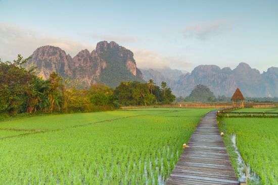 Laos Kompakt von Vientiane nach Luang Prabang: Vang Vieng ricefields 