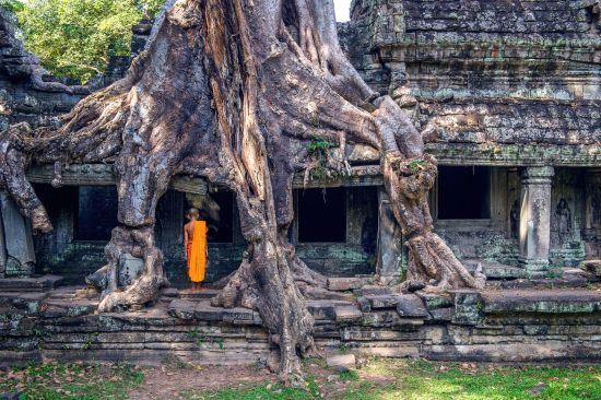 Höhepunkte Kambodschas ab Siem Reap: Siem Reap Ta Prohm Temple with Monk
