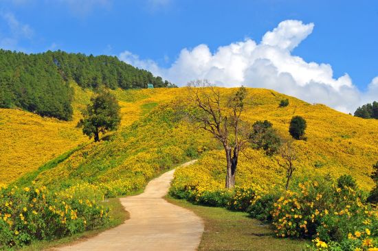 Die verborgene Welt der Bergvölker ab Chiang Mai: Mae Hong Son 67164811