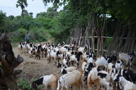 Ausflug in die Chin Berge ab Bagan: Myanmar Chin State