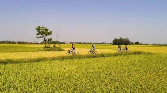 Zentralvietnam aktiv erleben ab Hue: Hoi An: Cycling