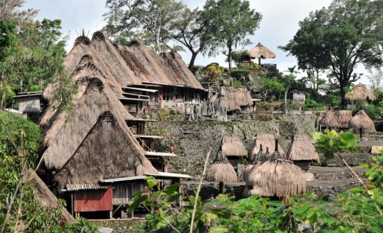 Flores - Traditionen, Riten und Vulkane ab Ende: Flores Bajawa Bena village