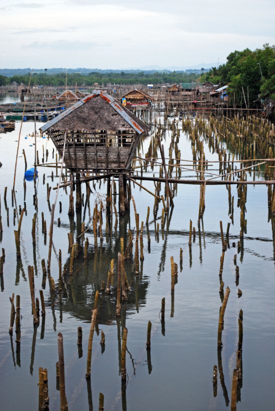 Archipel des Visayas de Negros: Negros: Oyster farm