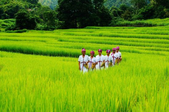 Die verborgene Welt der Bergvölker ab Chiang Mai: Northern Thailand: Hidden world of Hilltribes