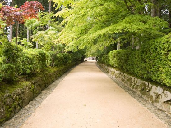 Patrimoine mondial de Koyasan de Kyoto: Koya mountain