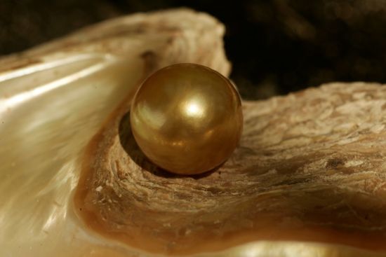 Traumhaftes Palawan: Golden Pearl