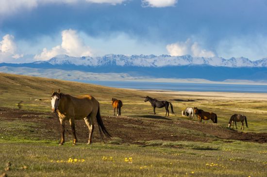 Auf den Spuren Marco Polos entlang der Seidenstrasse ab Peking: Son Kul Lake