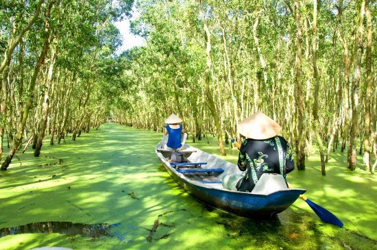 Grenzenlose Faszination bis Phu Quoc ab Siem Reap: Mekong Delta: Tra Su Natural Reserve