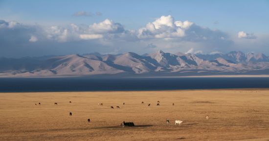 Sur les traces de Marco Polo le long de la route de la Soie de Pékin: Son Kul Lake