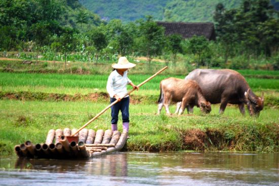 Kaiserliches China mit Yangtze Kreuzfahrt ab Peking: Yangshuo Yulong Fluss