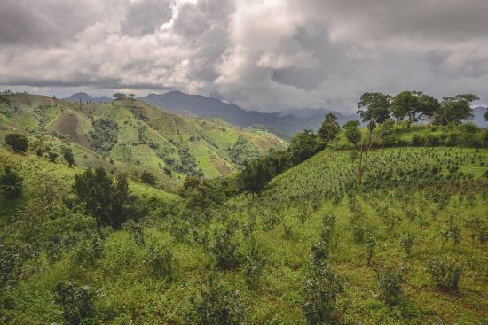 Wandern im malerischen Shan Staat (4 Tage) ab Inle Lake: Kalaw Tea Plantation