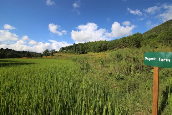 Wandern im malerischen Shan Staat (3 Tage) ab Inle Lake: exterior: Farm land