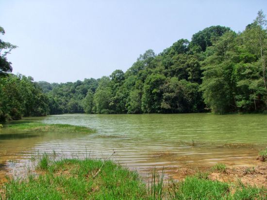 Wandern im malerischen Shan Staat (4 Tage) ab Inle Lake: Old Reservoir and Natural Forest