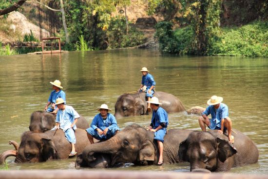 Le Siam royal de Bangkok: Lampang