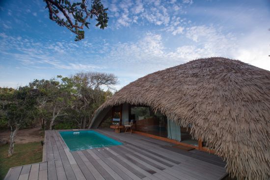 Uga Chena Huts - Safari dans le parc national de Yala - 3 jours de Colombo: room: Cabin Exterior, Plunge pool and deck