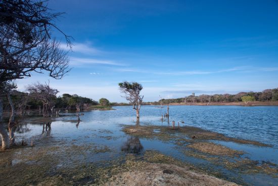 Uga Chena Huts - Safari dans le parc national de Yala - 3 jours de Colombo: location: Nearby Logoon