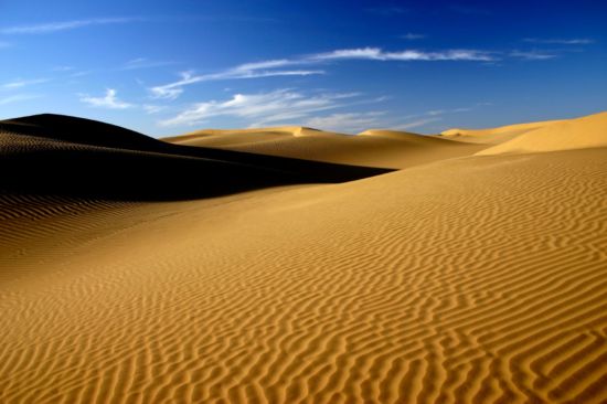Romantisme des palais et magie du désert de Jodhpur: Thar Desert