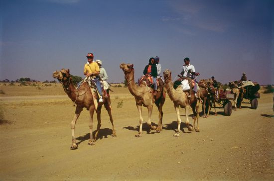 Romantisme des palais et magie du désert de Jodhpur: Thar Desert
