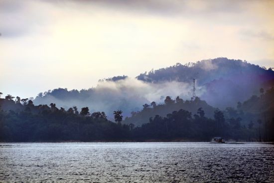 Les hauts lieux de la Malaisie avec option "Belum Rainforest" de Kuala Lumpur: Malaysia Belum Rainforest