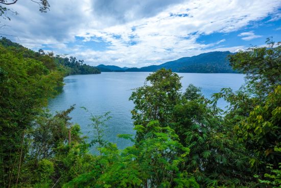 Les hauts lieux de la Malaisie avec option "Belum Rainforest" de Kuala Lumpur: Malaysia Belum Rainforest
