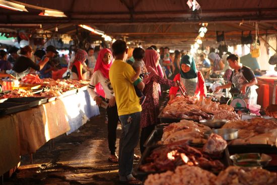 Les hauts lieux de Bornéo avec option "Brunei" de Kuching: Kota Kinabalu