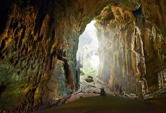 Höhepunkte Borneos ab Kuching: Gomantong Cave