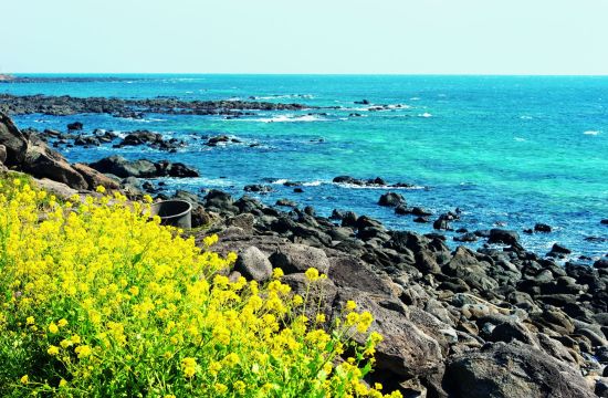 Mietwagen Rundreise «Jeju Island»: Jeju beachside