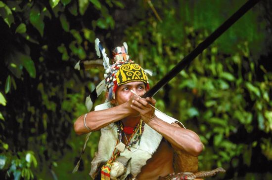 Les hauts lieux de Bornéo avec option "Brunei" de Kuching: Sabah Headhunter