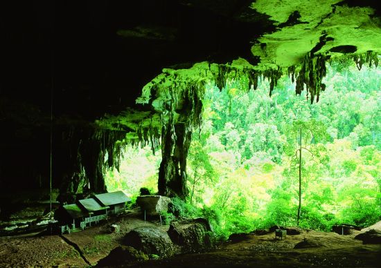 Les hauts lieux de Bornéo avec option "Brunei" de Kuching: Mulu Caves