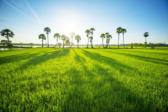 L'éclat du Vietnam - de Hanoï à Saigon de Hanoi: Mekong Delta: beautiful countryside