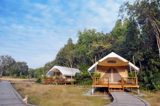 Im Wilden Westen Kambodschas ab Siem Reap: room: Cardamom Tented Camp | Tents