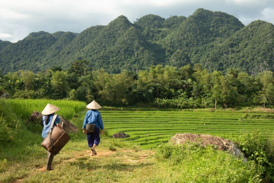 Impressions du nord du Vietnam de Hanoi: Two women going to the paddy fields in the Pu Luong