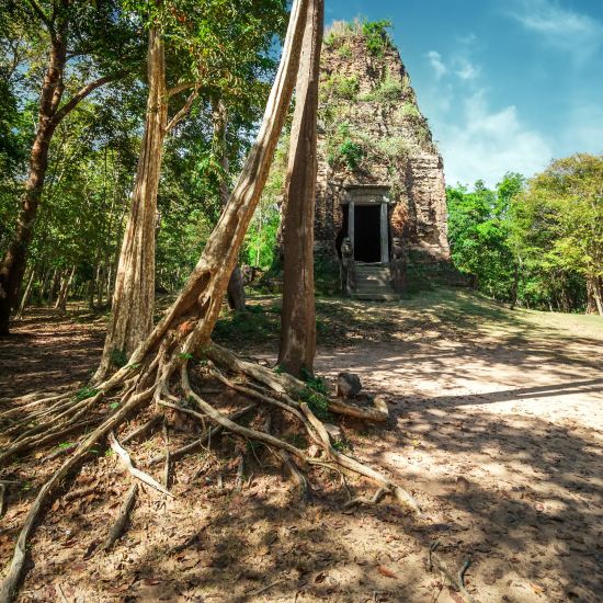Grenzenlose Faszination ab Siem Reap: Kampong Thom - Sambor Prei Kruk temple
