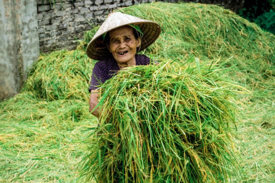 Impressionen Nordvietnams ab Hanoi: Ninh Binh