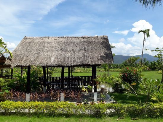 Le nord de la Thaïlande en action: nature & éléphants de Chiang Mai: Le Cocotier