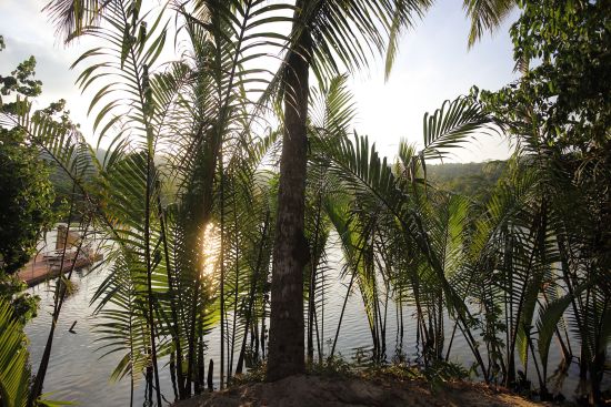 Canvas & Orchids Retreat Package de Phnom Penh: Canvas & Orchids Retreat