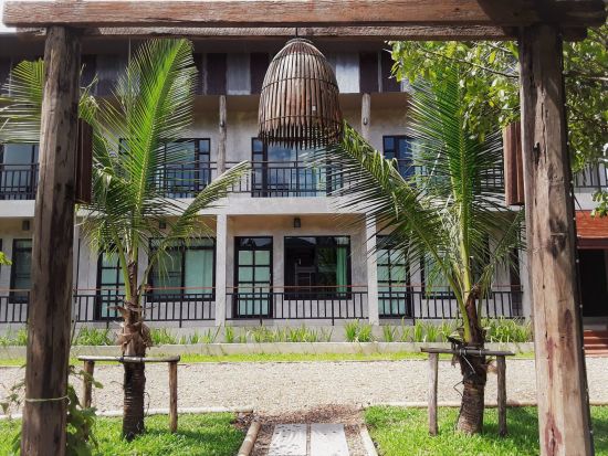 Le nord de la Thaïlande en action: nature & éléphants de Chiang Mai: Le Cocotier