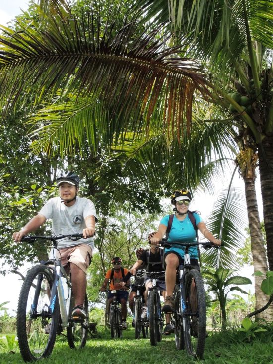 Le nord de la Thaïlande en action: nature & éléphants de Chiang Mai: Le Cocotier