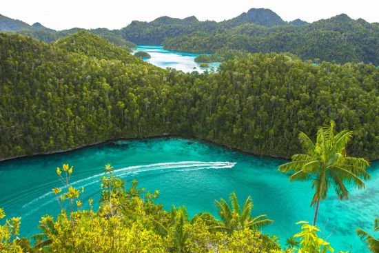 Kreuzfahrt im Inselparadies Raja Ampat ab Sorong: Raja Ampat