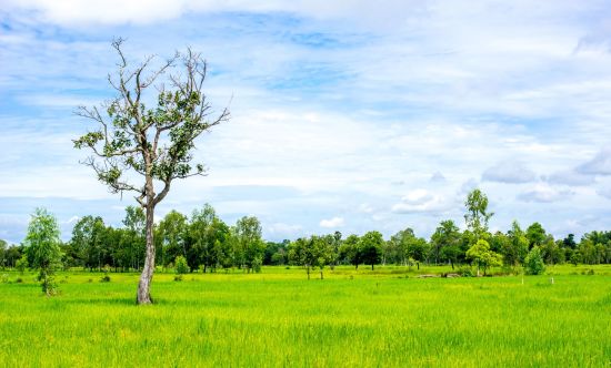 Circuit en voiture de location au sud de Bangkok: Thailand Countryside 