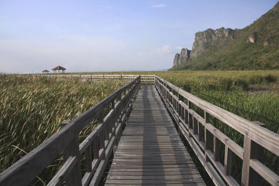 Circuit en voiture de location au sud de Bangkok: Sam Roi Yod National Park