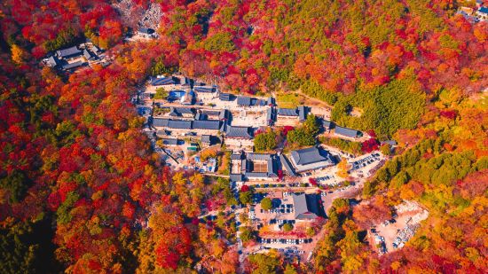 Spirituelles Erlebnis «Temple stay» ab Busan: Aerial view of Beomeosa temple