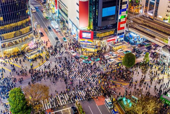 Familienabenteuer Japan ab Tokio: Shibuya crosswalk and cityscape