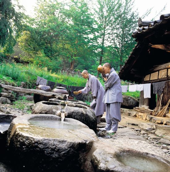 Spirituelles Erlebnis «Temple stay» ab Busan: Monks