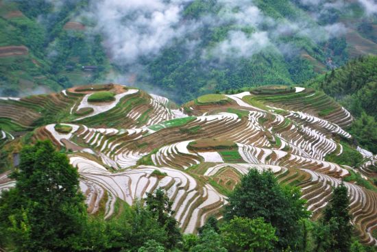 Les hauts lieux de la Chine de Pékin: Longsheng
