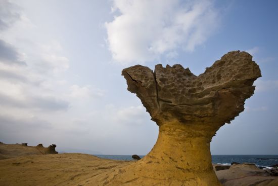 La côte orientale sauvage de Taïwan de Taipei: North_12