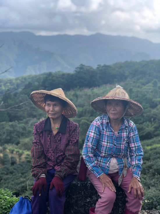 La côte orientale sauvage de Taïwan de Taipei: Tea plantation ladies